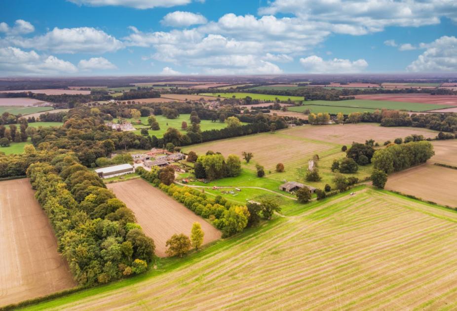 Beachamwell farm for sale at £17m with Savills in Norfolk 