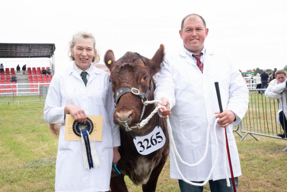 Norfolk pedigree cattle farmers’ wins at Suffolk Show 2023