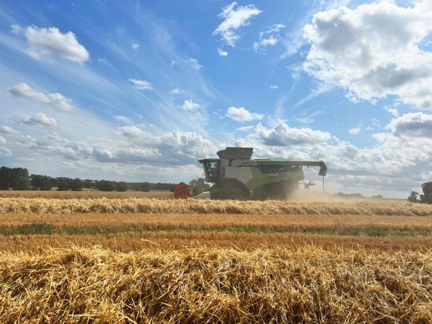 Harvest 2023: Norfolk farmers frustrated by rain delays 