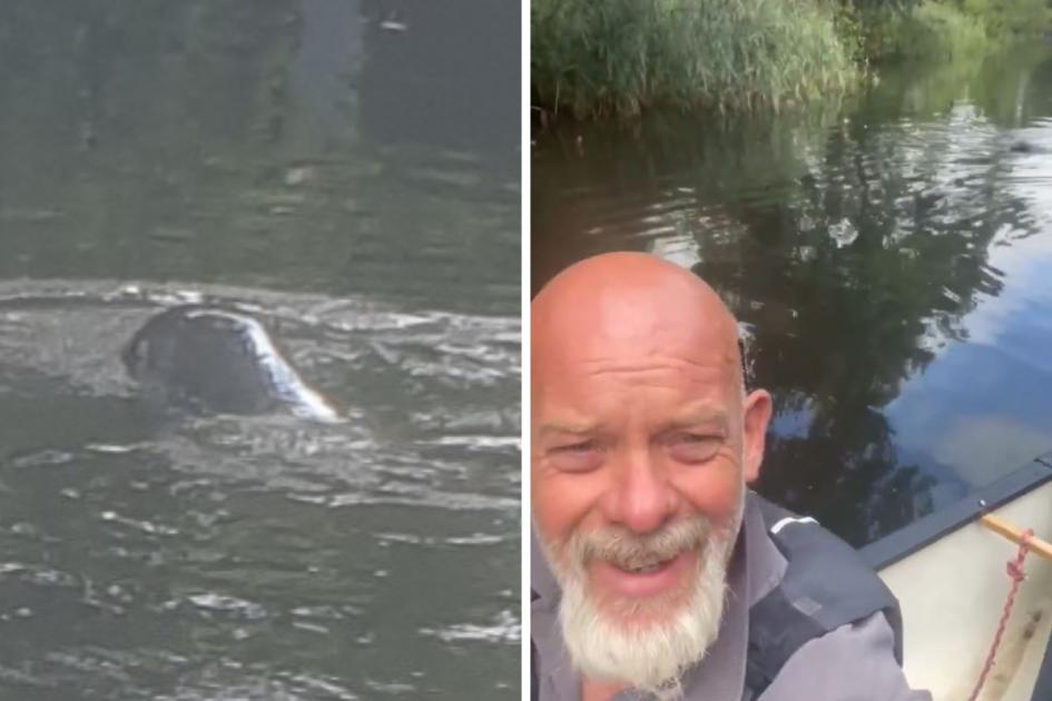 Seal spotted on Norfolk's North Walsham and Dilham Canal 