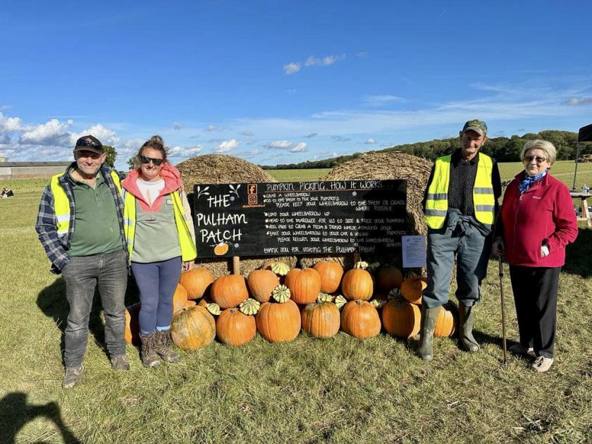 Maize maze to launch in 2024 at farm in Pulham Market 