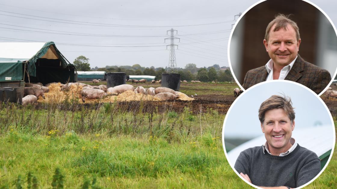 Farmer paid £1m not to farm pigs to unlock new homes does not own animals on his land 