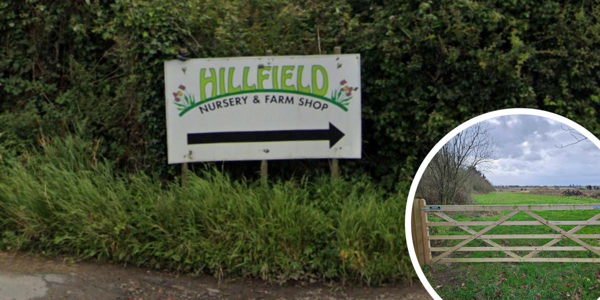 Theft at Hillfield Nursery and Farm Shop in south Norfolk 