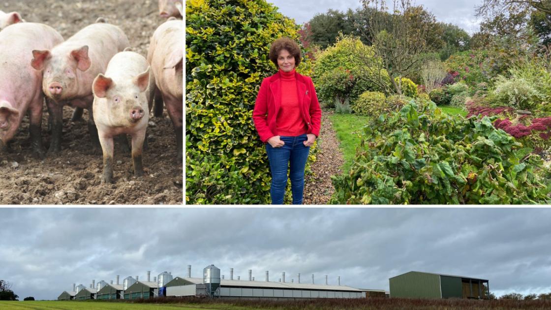 Norfolk villagers wage long campaign against 'smelly' farm 