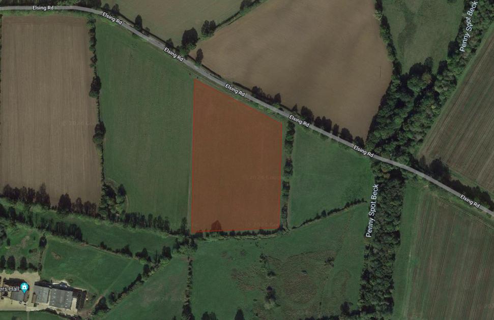 Plans for new dog walking field in Swanton Morley approved 