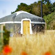 One of the yurts at Raynham Estate's Wild Meadow glamping site. Picture: Supplied by Raynham