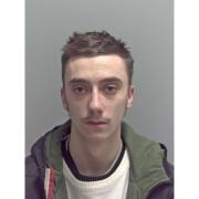 Marley Williams, 21, was sentenced to eight weeks in jail after a series of thefts in Capel St Mary