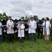 A team of Aberdeen Angus breeders from across the UK won the Heygates Country Feeds Team of Five competition