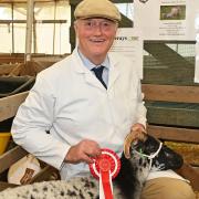 Former Royal Norfolk Show chief executive Greg Smith with his prize-winning Boreray sheep