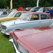 There was a wide variety of models at Norwich Classic Vehicle Club's annual show and family day.