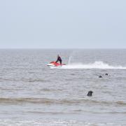 One of a couple of jet skiers who spooked several hundred seals at Horsey before riding through them in the water.