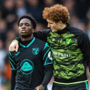 Josh Sargent has missed the last four Norwich City games with an ankle injury
