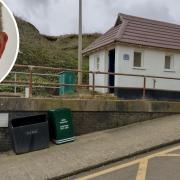 One of the new, green, barbecue disposal bins near the beach toilets at East Runton, inset, Nigel Lloyd.