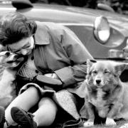 Queen Elizabeth II with her corgis at the European Driving Championship at the Royal Windsor Horse Show in 1973.