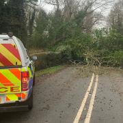 A large fallen tree is blocked an entire road in Low Road in Keswick