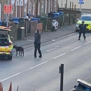 Police swarmed Magpie Road in Norwich after a teenager had been found stabbed in Motum Road.