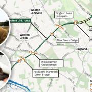 Bats will force the Norwich Western Link road to be 'realigned'