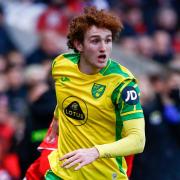 Josh Sargent is due to be back in contention for Norwich against Everton