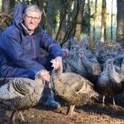 Mark Gorton of Traditional Norfolk Poultry, pictured before the regional bird flu housing order which required all free-range birds to be kept indoors