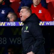 Norwich City head coach Dean Smith gets his point across in a 3-0 Premier League defeat to Crystal Palace