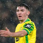 Billy Gilmour played the full match as Norwich drew 0-0 with Wolves at Carrow Road