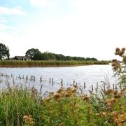 Hickling Broad is a quiet and tranquil space
