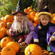 Amelie and Alby Barker from Wymondham at the Real Halloween at Holt Hall, with the wands they had just made and a few pumpkins too!