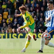 Josh Sargent had an early shot deflected just wide during Norwich City's 0-0 draw with Brighton