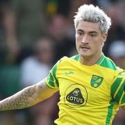 Mathias Normann made a largely positive first impression on his Norwich City debut against Watford.