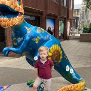 A three-year-old who was enjoying Break's GoGoDiscover T-Rex trail in Norwich with his father on Saturday in Norwich