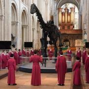 The Norwich Cathedral choristers celebrate the arrival of Dippy the Dinosaur in the nave before the exhibition is opened to the public. Picture: DENISE BRADLEY
