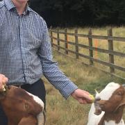 Neonatal consultant Professor Paul Clarke with his goats on his smallholding   Picture: Angelica Clarke