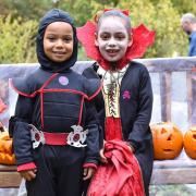 Children at the previous Pumpkin Fest in Brandon (Photo: Lydia Owens Photography)