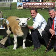 From left, Stephen Cobbald, Harry Middleditch and judge  John Campbell with Mr Cobbald's inter-breed sheep champion.
Picture : SARAH LUCY BROWN
