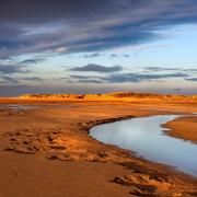 Holkham has been included in a list of the best in the UK (Image: Bob Frewin)