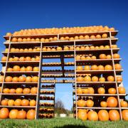 Head to The Pumpkin House in Thursford for Halloween.
