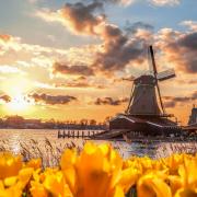 Agriculture, technology, and energy are three of the Netherlands\' most innovative sectors.