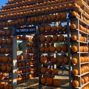 The Pumpkin House is back open in Norfolk for Halloween 2022.