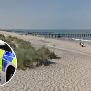 The woman was walking on North Beach with her pet when she was attacked by a dog