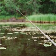 Fishing in certain waters and lakes in Norfolk is now illegal until the summer