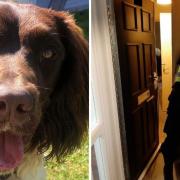 PD Walton helped officers find cash and drugs during the raid