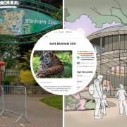 A petition has been launched after Banham Zoo revealed its latest vision - Picture: Newsquest / Tate and Co Architects / Change.org