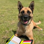 Police dog Hera was part of the team who found the child