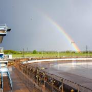 King's Lynn Stars - in need of a pot of gold