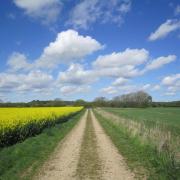 Find out why landowners should consider the shared farming model