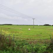 The site where a solar farm can now be built at Sedgeford