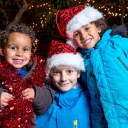 Fairhaven Woodland and Water Garden will host a festive film night this month