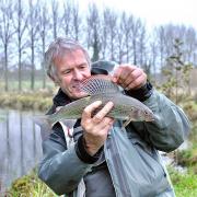 A Test grayling - just look at that fin