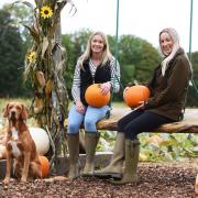 Sisters Leanne, left, and Sammy Harrold, ready for visitors at their Church Farm pumpkin patch at Heacham, with Baloo the dog Picture: Denise Bradley