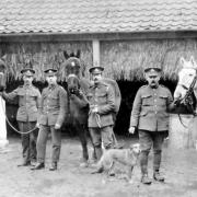 the Beighton book there is this picture taken at Beighton House which was used as a hospital for injured horses in the First World War